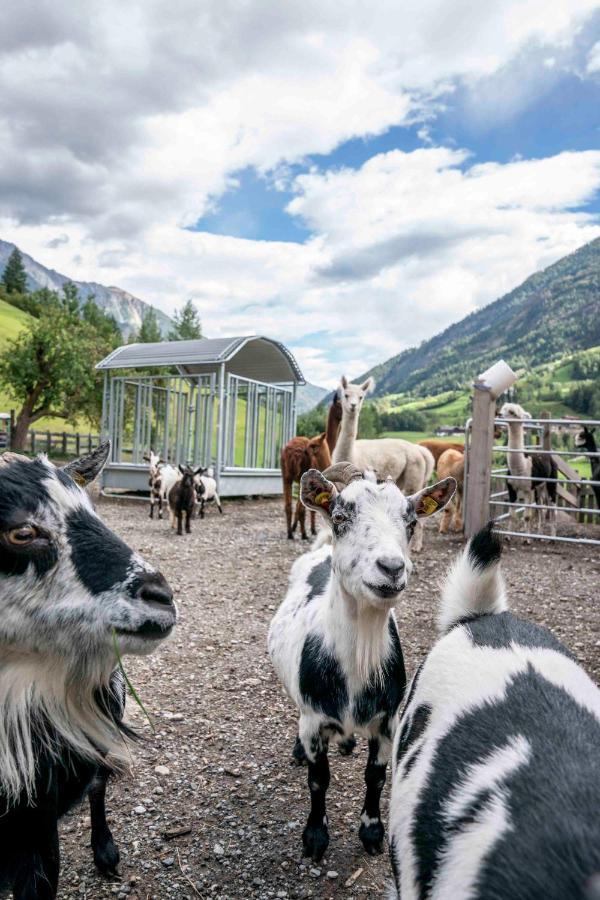 Appartamento Ruggenthalerhof Matrei in Osttirol Esterno foto
