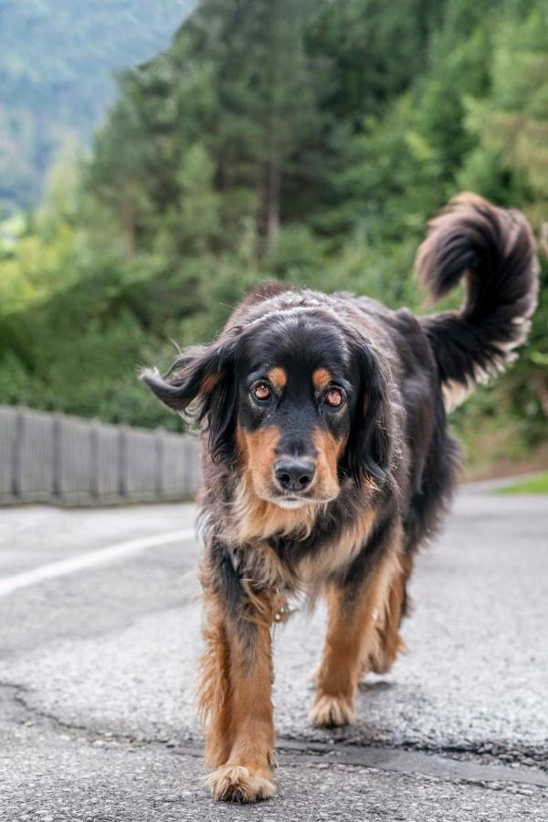 Appartamento Ruggenthalerhof Matrei in Osttirol Esterno foto